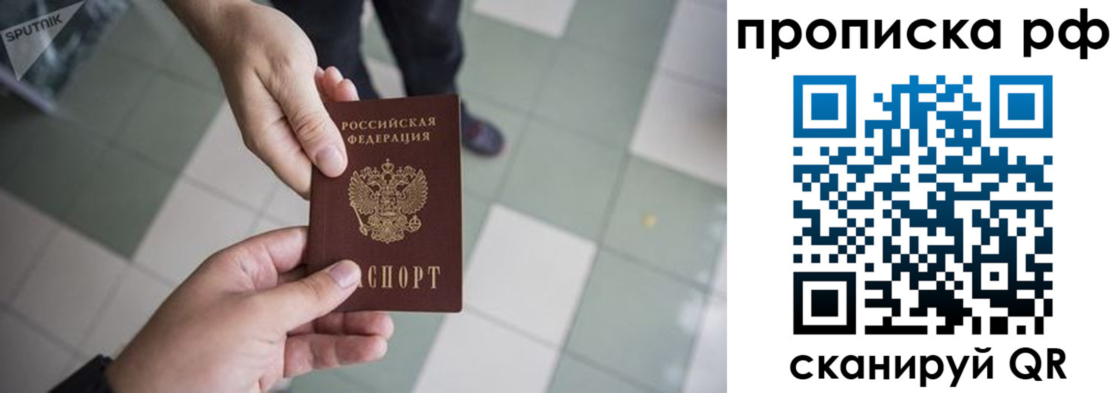 прописка гарантия в Новодвинске